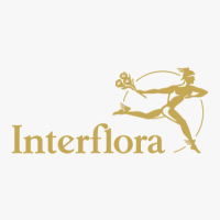 Interflora Warrnambool